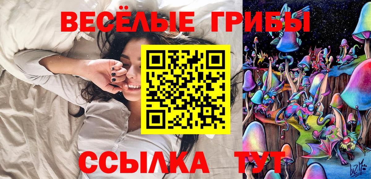 Волгодонск  Псилоцибиновые грибы MAGIC MUSHROOMS  Вход с VPN 