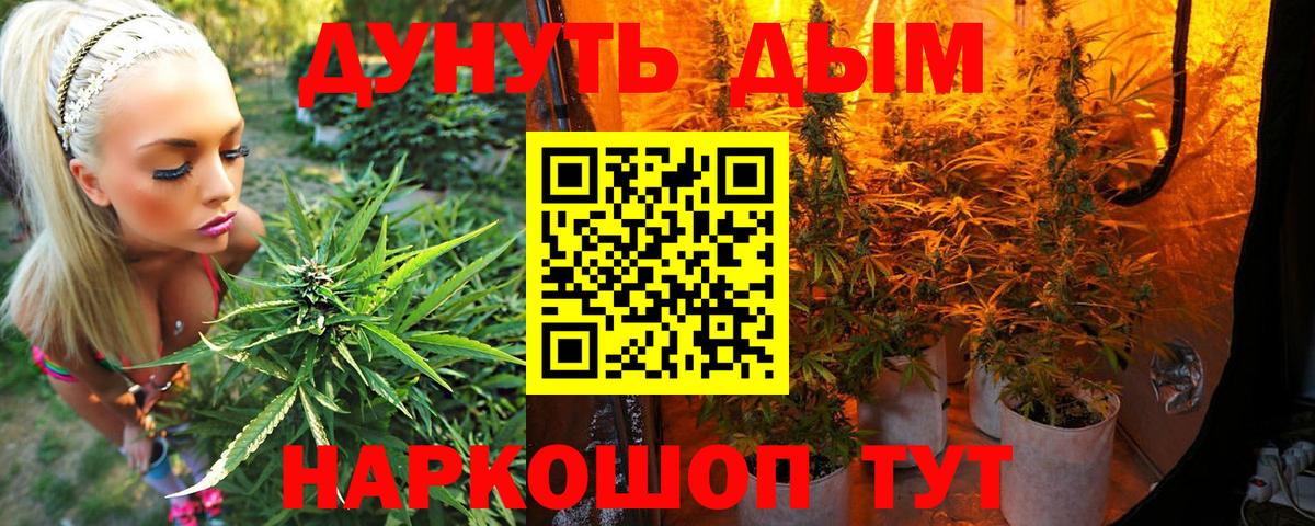 Канабис семена  Бошки Шишки план  Бошки марихуана план  МАРИХУАНА MAZAR  Вход с VPN  Волгодонск 